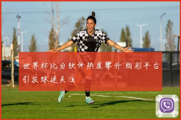 世界杯比分软件热度攀升 购彩平台引发球迷关注