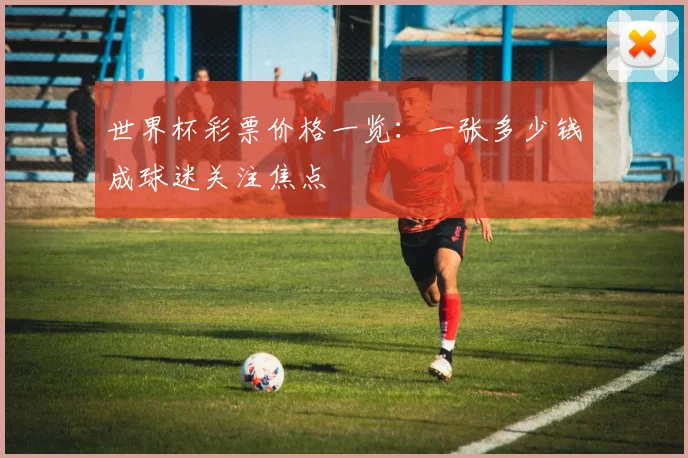 世界杯彩票价格一览:一张多少钱成球迷关注焦点