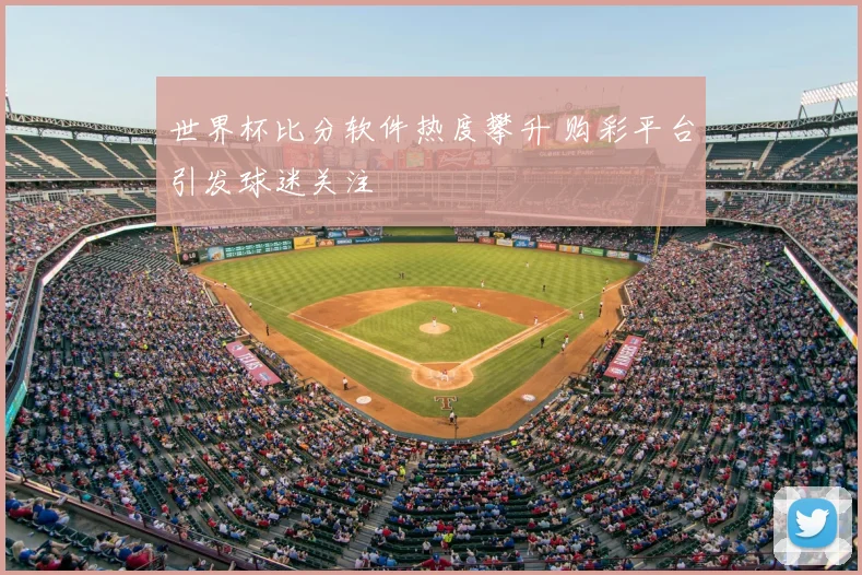 世界杯比分软件热度攀升 购彩平台引发球迷关注