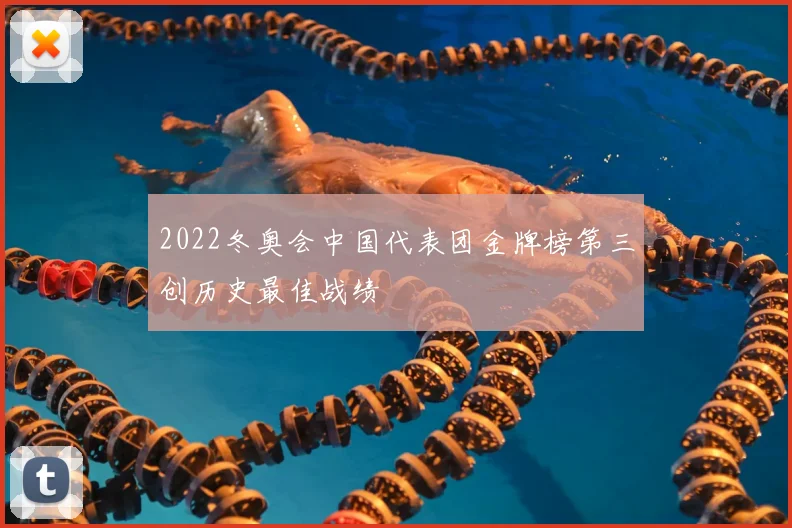 2022冬奥会中国代表团金牌榜第三创历史最佳战绩